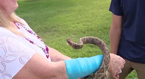 Texas Woman Injured After Hawk Drops Snake On Her