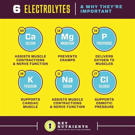 Key Nutrients Electrolyte Powder Review - Is It Effective?