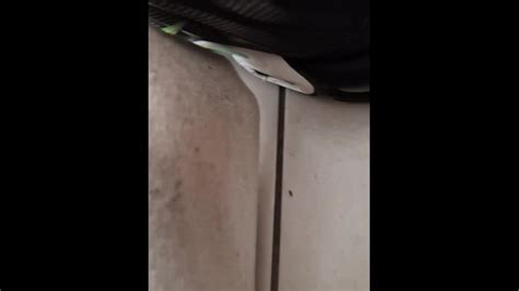 Nike Tn And Socks Sniff Pornhub Gay