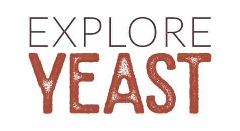 What Is Yeast Definition And Uses Explore Yeast