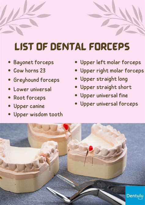 List Of Dental Forceps Used In Dentistry Infographics By Dawn Simpson