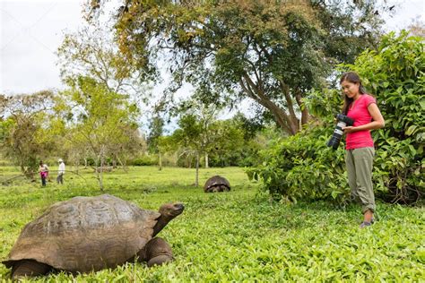 Fotógrafo turístico y tortuga gigante de Galápagos en Isla Santa Cruz