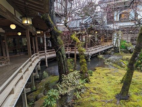 肌寒い一日になっています。 伊豆修善寺温泉 登録有形文化財 新井旅館 ブログ 「あらゐ日記」