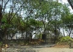 Residential Plots Land For Sale In Dhanori Pune