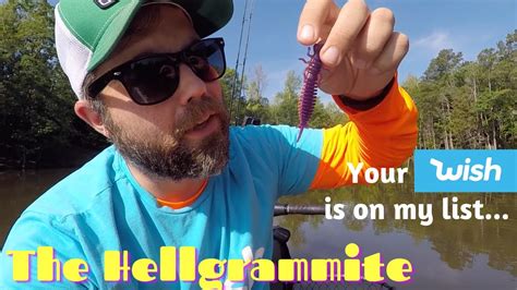 The Hellgrammite Wish Fishing Lure Challenge YouTube