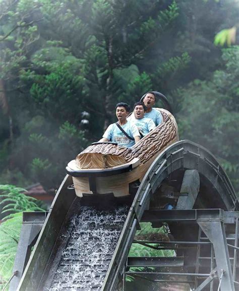 Taman Safari Bogor Harga Tiket Dan Aktivitas Yang Bisa Dilakukan