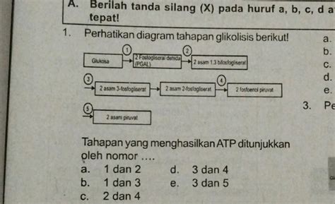 A Berilah Tanda Silang X Pada Huruf A B C D A StudyX