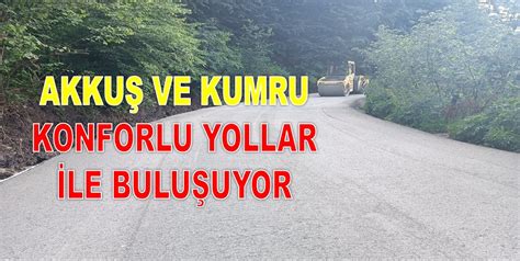 ORDUDA SİLİNDİRLE SIKIŞTIRILMIŞ BETON YOL YAYGINLAŞIYOR