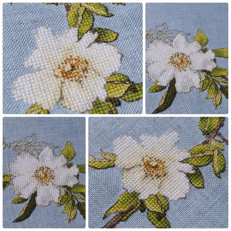 Клематис — forstitch.ru