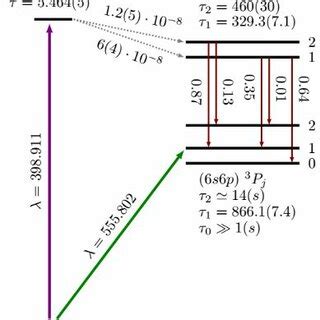 Energy Level Diagram Showing The Relevant Transitions And Branching