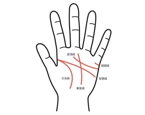 手相怎麼看？感情線、智慧線、生命線在哪裡？長度、走向入門解析攻略