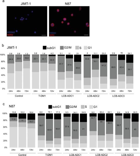 Nci N87 Gastric Carcinoma Atcc Bioz