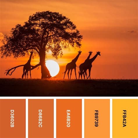 31 Sunset Color Palettes For Captivating Designs Color Meanings