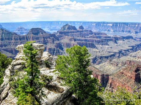 Grand Canyon National Park North Rim Looking Towards The South Rim