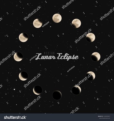 Vector Illustration Different Phases Lunar Eclipse Stock Vector ...