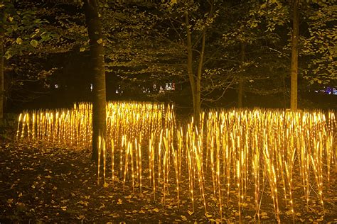 L Odyss E Lumineuse L V Nement Immanquable Bordeaux