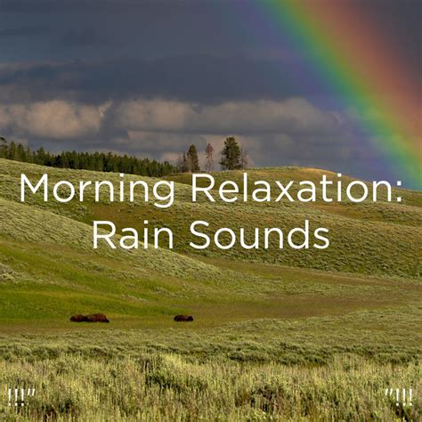 Morning Relaxation Rain Sounds Album By Meditation Rain Sounds