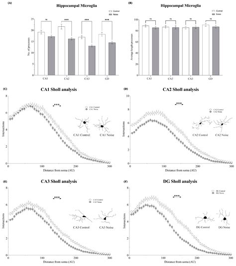 Acoustic Stress Induces Opposite Proliferative/Transformative Effects