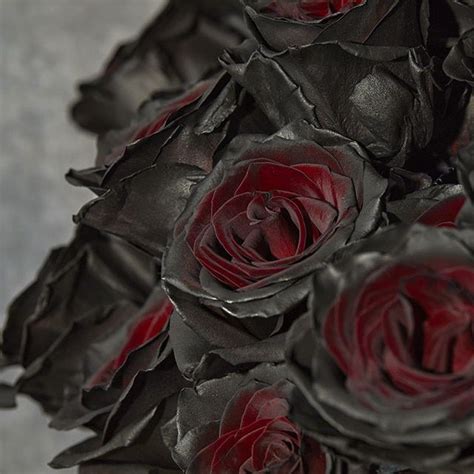 Black Rose Bouquet | Black Rose Delivery - The Bouqs Co.