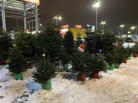 Jaka Pogoda Na Grudzie Jakie B D Wi Ta Bo Ego Narodzenia I