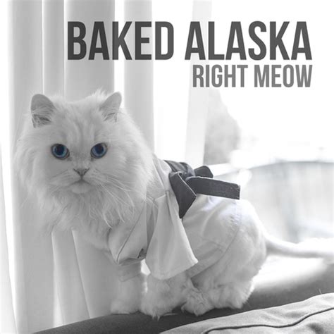 Right Meow (Free Download) on Storenvy