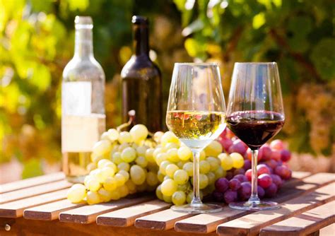 Consejos Para Elegir El Vino Perfecto Para Regalar Momentae