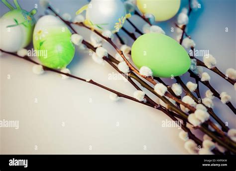 Pussy Willow And Easter Eggs Stock Photo Alamy