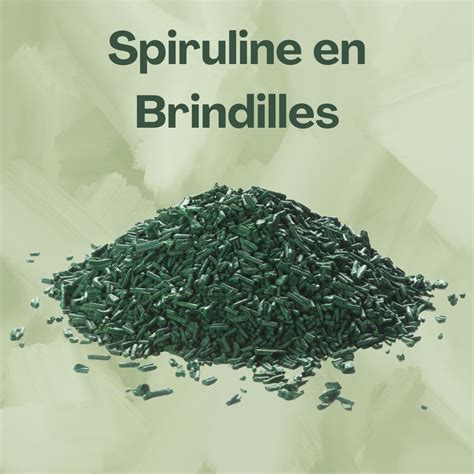 Les Bienfaits Et Utilisations De La Spiruline Brindille AKAL