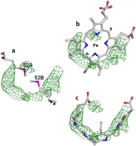 The FoFc Electron Density Map In The Haem Binding Region Of Mtb