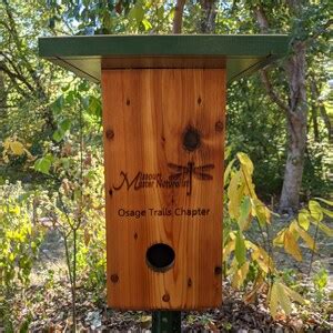 Raw Cedar Songbird Roosting Box With Cleanout X Etsy Canada