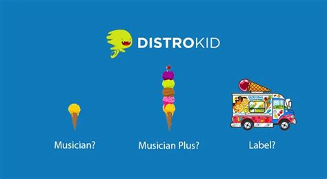 distrokid net worth