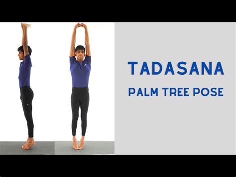 Update Tadasana Yoga Pose Images Best Nanoginkgobiloba Vn