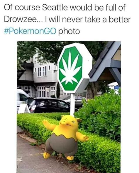 Found A Drowzee In Washington Imgur Funny Pokemon Go Pokemon