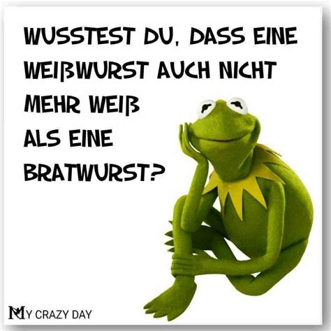 42 Spruch Lustig Kermit Der Frosch Information Sprucheamc