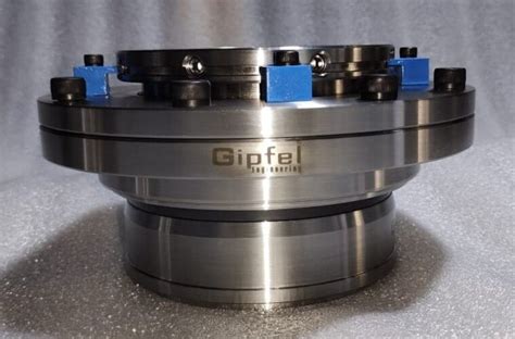 LS830 Light Duty Slurry Mechanical Seal Rotary Spring Gipfel