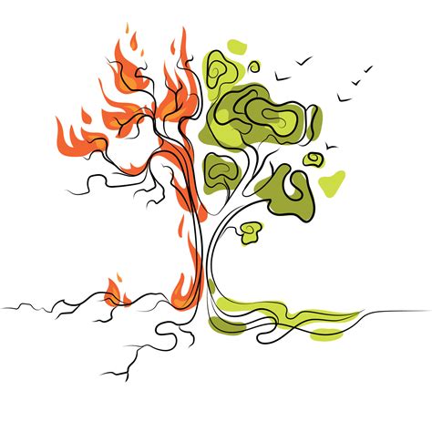 Burning tree and living green tree,global warming and drought,forest