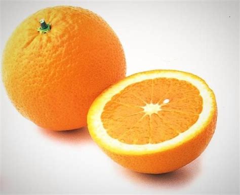 Trovita Sweet Semi Dwarf Orange Tree Orange Tree Orange Citrus Trees