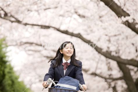 自転車に乗る女子中学生 写真素材 2411698 フォトライブラリー Photolibrary