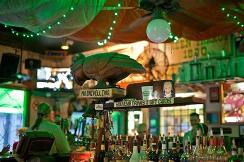 Green Parrot Bar Key West 2020 All You Need To Know Before You Go