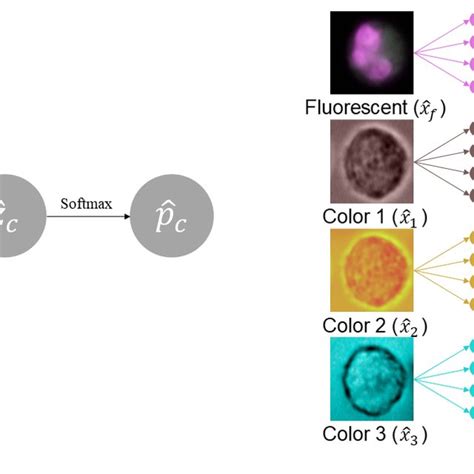 Baseline Fusion Methods For Our Multimodal Dataset A Early Fusion Download Scientific