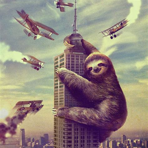 Sloth Climbing Empire State Building