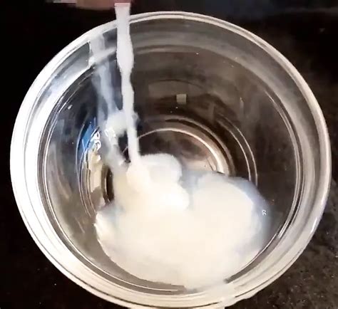 Bowl Of Jizz Gay HD Videos HD Porn Video B XHamster