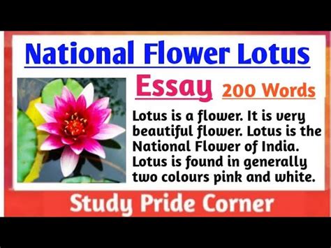 National Flower Of India Stands For Best Flower Site