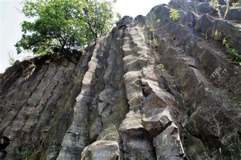 Free Images Tree Rock Flower Formation Cliff Terrain Material