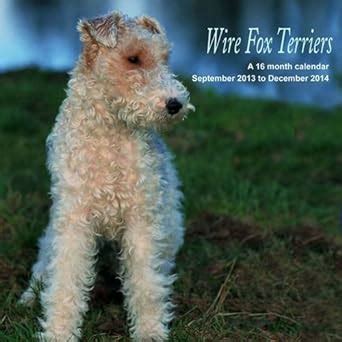 Wire Fox Terriers Wall Calendar Magnum Calendars