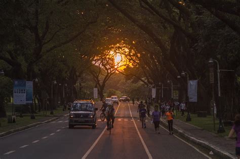 Up Diliman Up Diliman Oval When In Manila Jcpfamilies