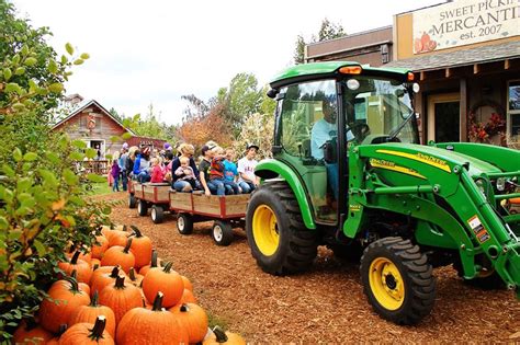 Here Are The Best Pumpkin Patches In Montana To Visit