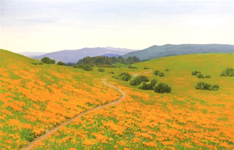 Poppy Field – Silicon Valley Open Studios