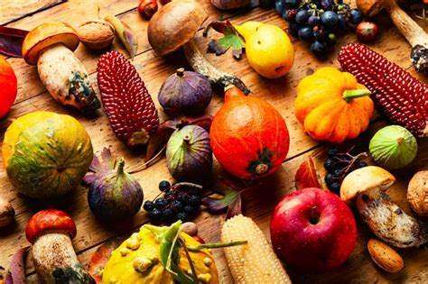 Set Of Autumn Fruits Photo Background And Picture For Free Download ...