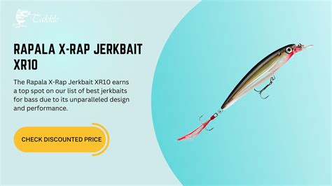 Best Jerkbaits For Bass Takkle